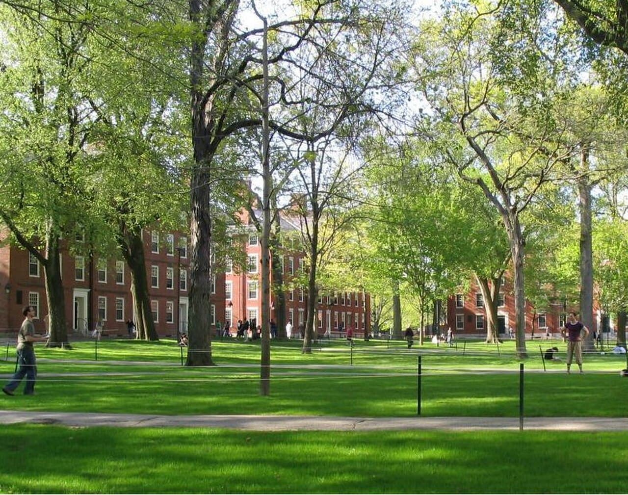 Harvard University campus